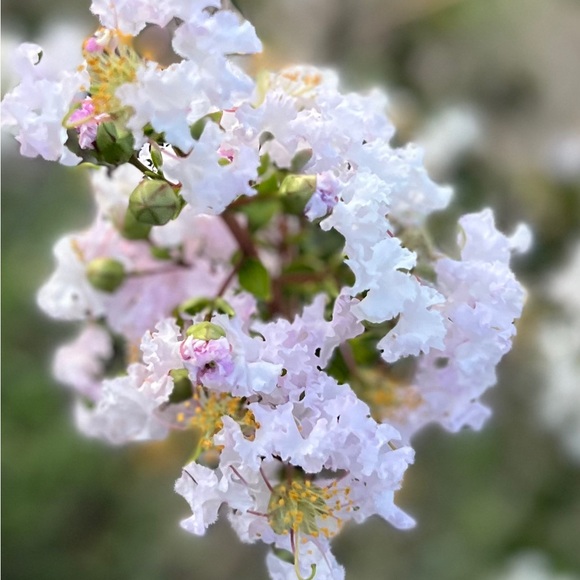 Meet your Posher, DR - Picture 14 of 16